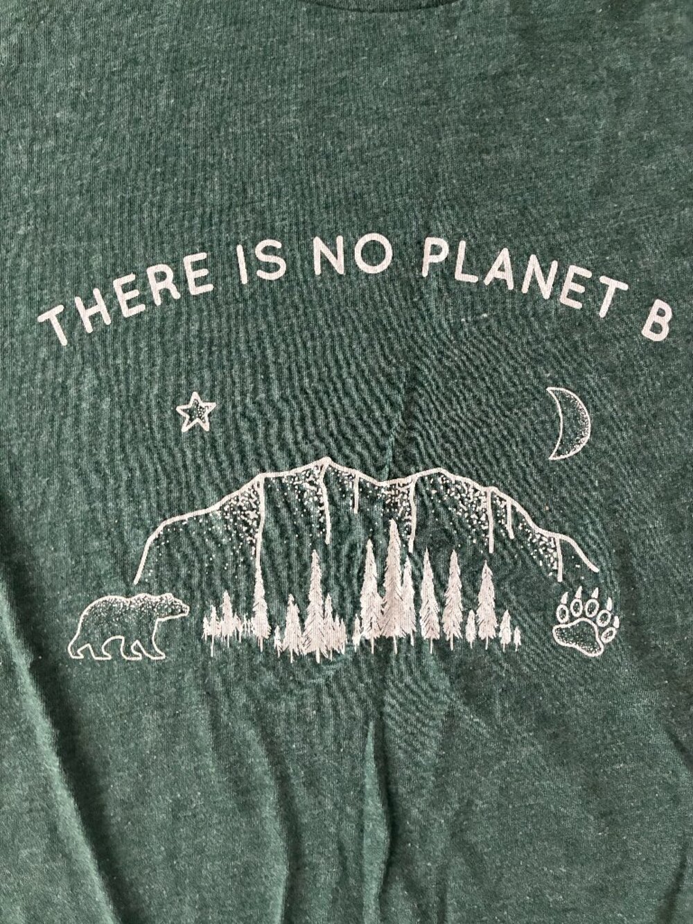 Royal Apparel Organic RPET Tee "There Is No Planet B" Bear USA Made L